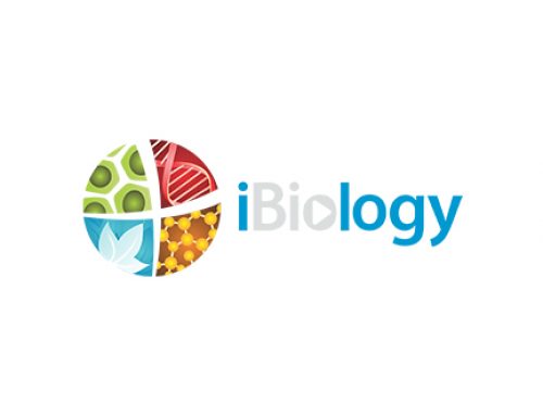Bioremediation: Cyborg-ization of Soil Bacteria for Smart Degradation of Environmental Pollutants